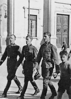 Иллюстрация к книге — Командиры "Лейбштандарта" [i_062.jpg]