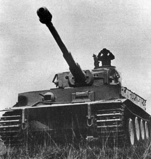 Иллюстрация к книге — Командиры элитных частей СС [i009.jpg]