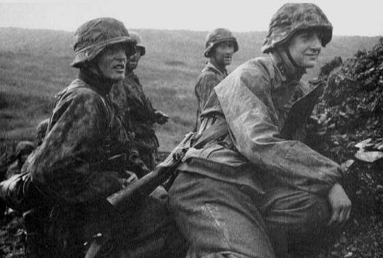 Иллюстрация к книге — Командиры элитных частей СС [waffssinfantry.jpg]