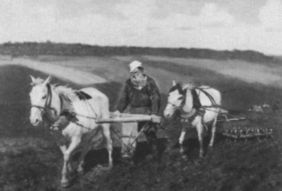 Иллюстрация к книге — Лев Толстой [i_029.jpg]