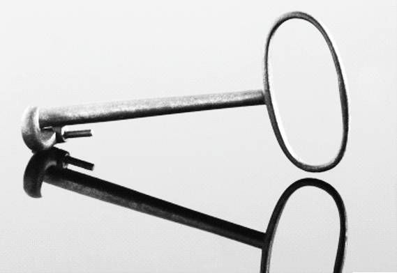 Иллюстрация к книге — Из истории зубоврачевания, или Кто лечит зубы монархам [i_147.jpg]