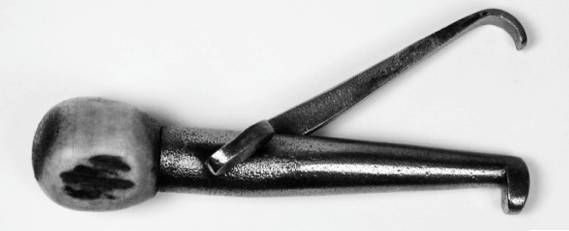 Иллюстрация к книге — Из истории зубоврачевания, или Кто лечит зубы монархам [i_148.jpg]