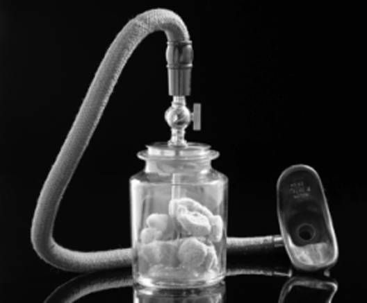 Иллюстрация к книге — Из истории зубоврачевания, или Кто лечит зубы монархам [i_237.jpg]