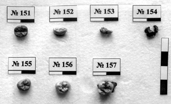 Иллюстрация к книге — Из истории зубоврачевания, или Кто лечит зубы монархам [i_290.jpg]