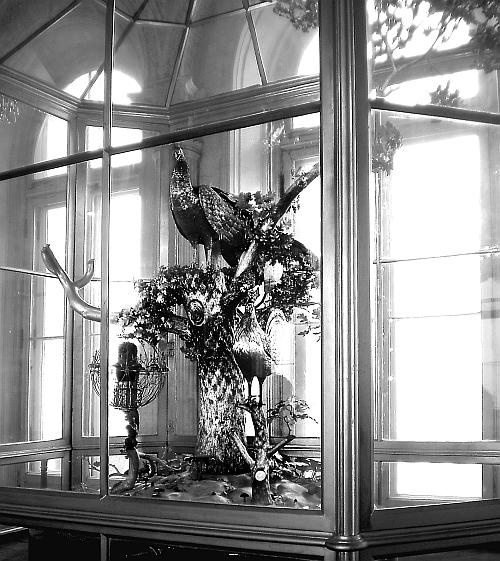 Иллюстрация к книге — Ювелирные сокровища Российского императорского двора [_67.jpg]