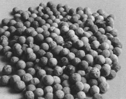 Иллюстрация к книге — Кутузов [i_061.jpg]