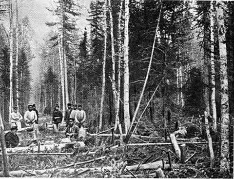 Иллюстрация к книге — Витте [i_029.jpg]