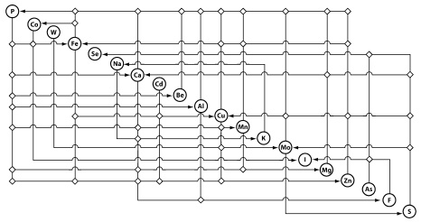 Иллюстрация к книге — Микроэлементы. Бодрость, здоровье, долголетие [i_023.jpg]