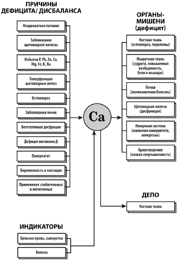 Иллюстрация к книге — Микроэлементы. Бодрость, здоровье, долголетие [i_039.jpg]