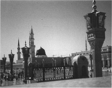 Иллюстрация к книге — Имам Шамиль [blkimg64.jpg]