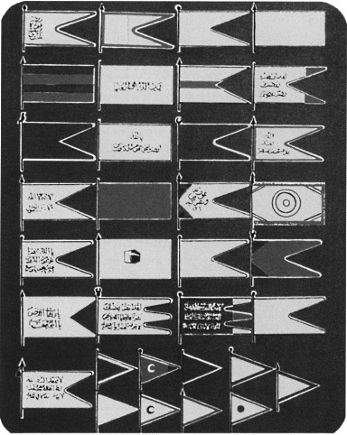 Иллюстрация к книге — Имам Шамиль [blkimg65.jpg]