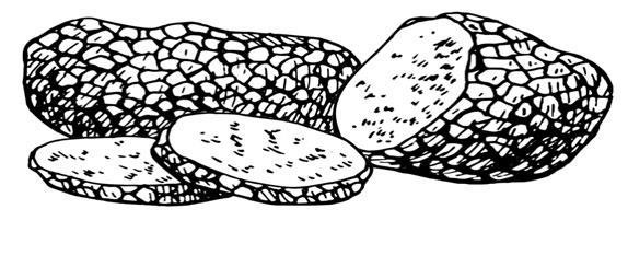 Иллюстрация к книге — Загадки Древней Руси [i_075.jpg]