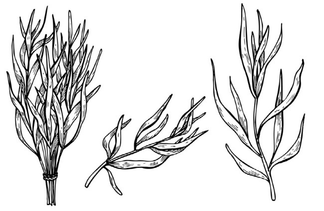 Иллюстрация к книге — Загадки Древней Руси [i_084.jpg]