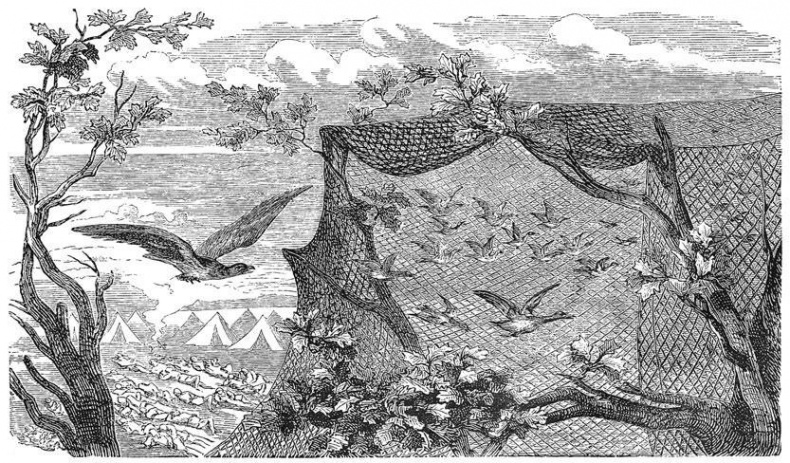 Иллюстрация к книге — Загадки Древней Руси [i_092.jpg]