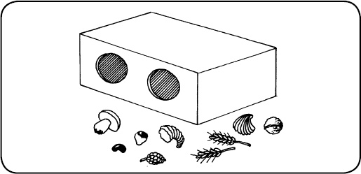 Иллюстрация к книге — Помоги мне это сделать самому [_33.jpg]
