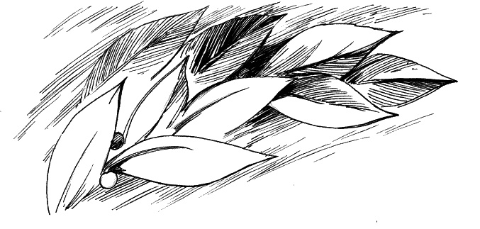 Иллюстрация к книге — Дети – другие. Саморазвитие. Части вторая и третья [_24.jpg]