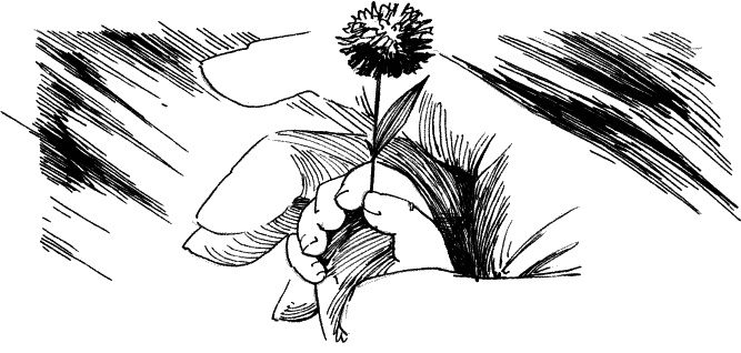 Иллюстрация к книге — Дети – другие. Взрослый как обвиняемый. Часть первая [_12.jpg]