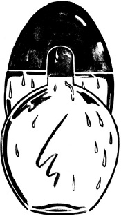 Иллюстрация к книге — Парфюм. История ароматов XX века [_88.jpg]