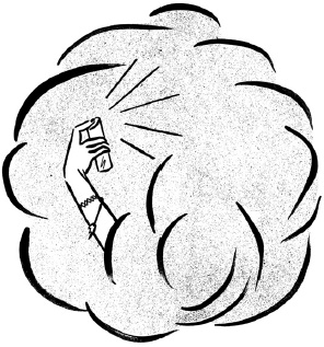 Иллюстрация к книге — Парфюм. История ароматов XX века [_95.jpg]