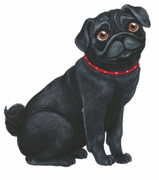 Иллюстрация к книге — Волшебный эликсир [i_005.jpg]