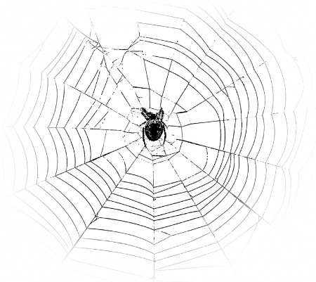 Иллюстрация к книге — Дрейф [i_002.jpg]