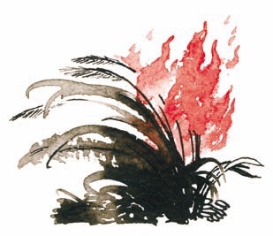 Иллюстрация к книге — У Дона Великого на берегу [i_044.jpg]