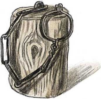 Иллюстрация к книге — Смутное время. Рассказы о русских царях и самозванцах начала XVII века [i_034.jpg]