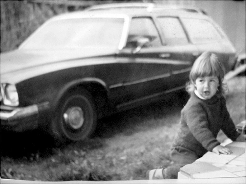 Иллюстрация к книге — Дневник автоледи. Советы женщинам за рулем [i_001.jpg]