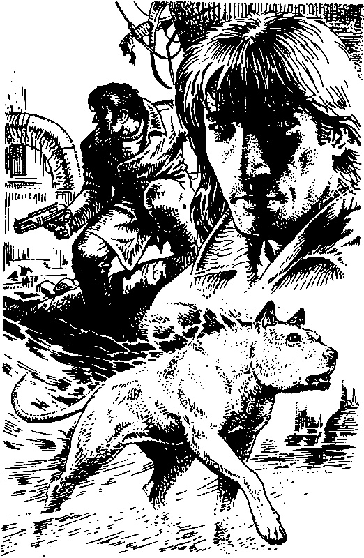 Иллюстрация к книге — Ночь Пса [pic_3.jpg]