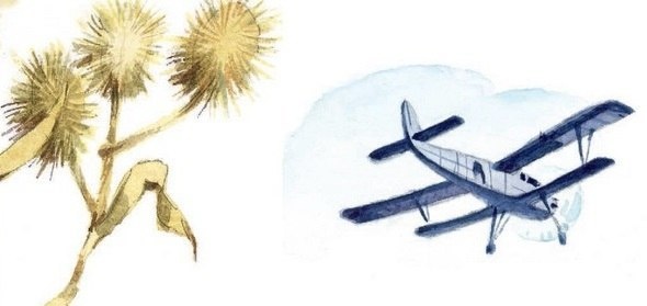 Иллюстрация к книге — Господин Куцехвост и иностранный шпион [i_002.jpg]