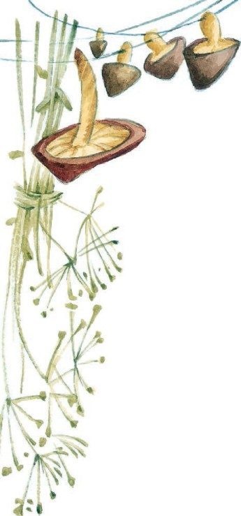 Иллюстрация к книге — Господин Куцехвост и иностранный шпион [i_006.jpg]