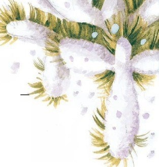 Иллюстрация к книге — Господин Куцехвост и иностранный шпион [i_013.jpg]