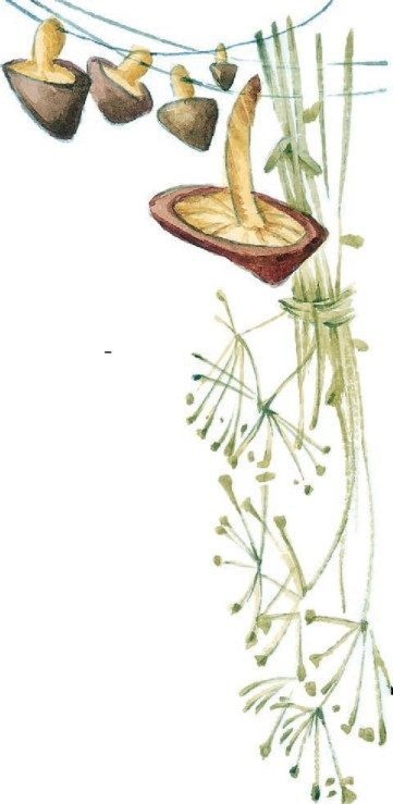 Иллюстрация к книге — Господин Куцехвост и иностранный шпион [i_025.jpg]