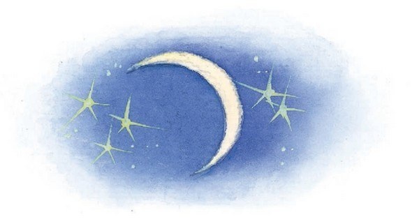 Иллюстрация к книге — Господин Куцехвост и иностранный шпион [i_031.jpg]