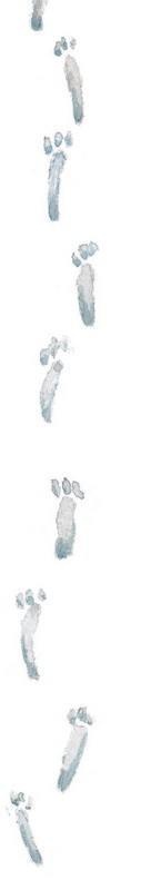 Иллюстрация к книге — Господин Куцехвост и иностранный шпион [i_063.jpg]