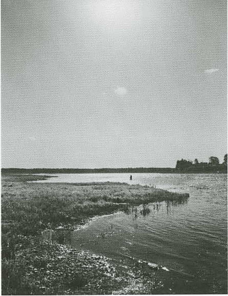 Иллюстрация к книге — Княгиня Ольга [i_018.jpg]