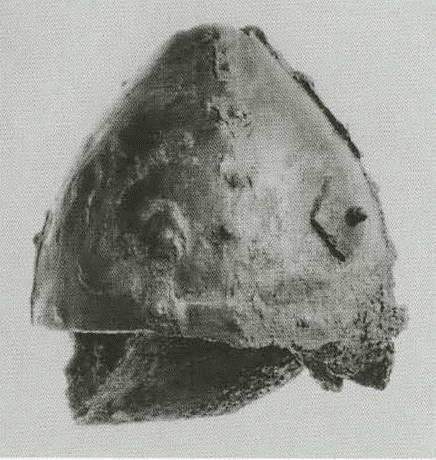 Иллюстрация к книге — Княгиня Ольга [i_031.jpg]