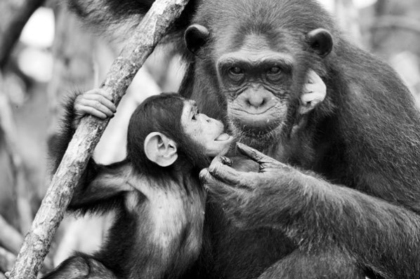 Иллюстрация к книге — Новые угрозы XXI века [image28.jpg]