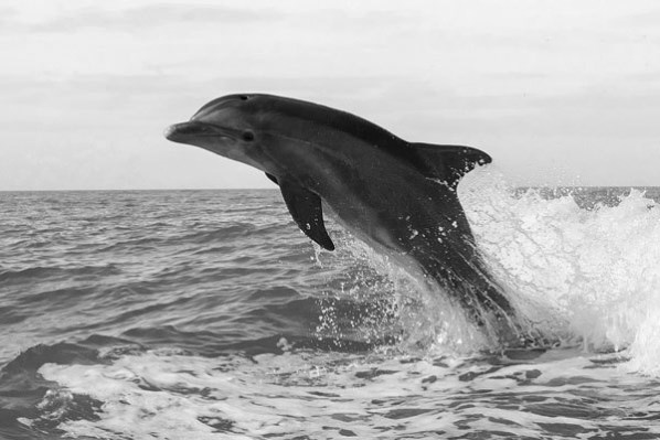 Иллюстрация к книге — Новые угрозы XXI века [image30.jpg]