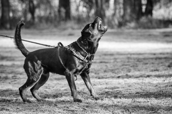 Иллюстрация к книге — Новые угрозы XXI века [image34.jpg]