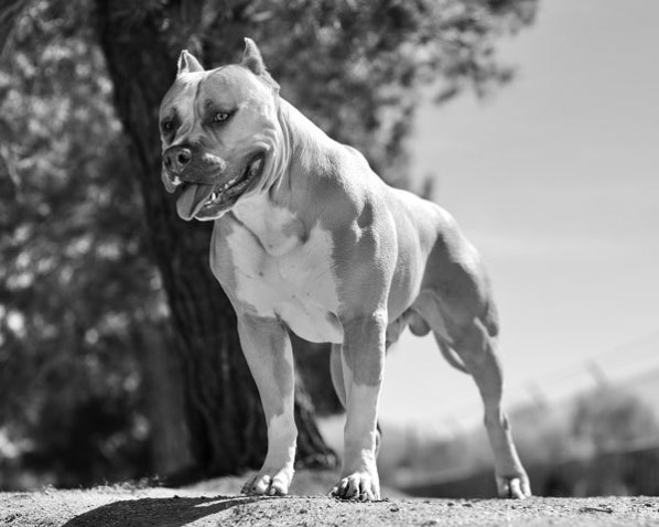 Иллюстрация к книге — Новые угрозы XXI века [image35.jpg]