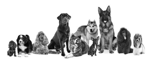 Иллюстрация к книге — Новые угрозы XXI века [image36.jpg]