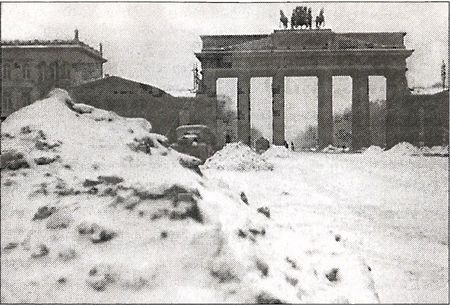 Иллюстрация к книге — 1941 год глазами немцев. Березовые кресты вместо железных [i_004.jpg]