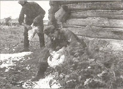Иллюстрация к книге — 1941 год глазами немцев. Березовые кресты вместо железных [i_036.jpg]