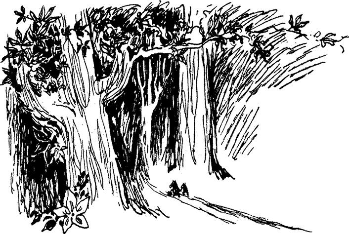 Иллюстрация к книге — Маленькие тролли или большое наводнение [i_001.jpg]