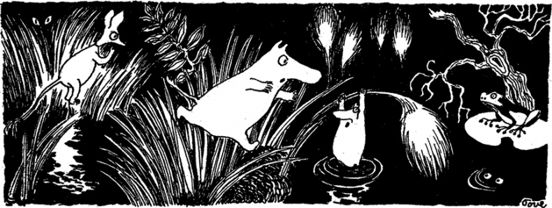 Иллюстрация к книге — Маленькие тролли или большое наводнение [i_003.jpg]