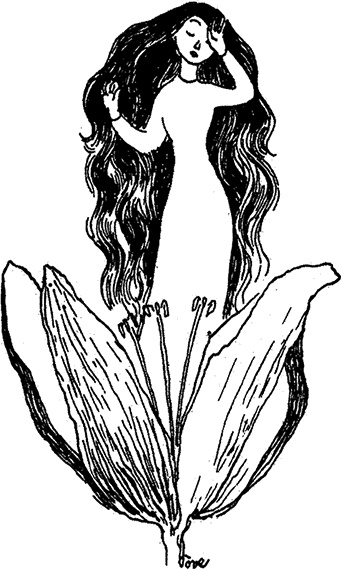 Иллюстрация к книге — Маленькие тролли или большое наводнение [i_006.jpg]