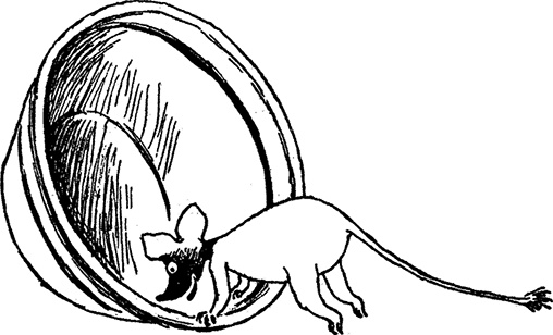 Иллюстрация к книге — Маленькие тролли или большое наводнение [i_020.jpg]