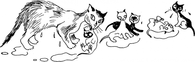 Иллюстрация к книге — Маленькие тролли или большое наводнение [i_024.jpg]