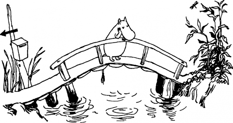 Иллюстрация к книге — Комета прилетает [i_002.jpg]